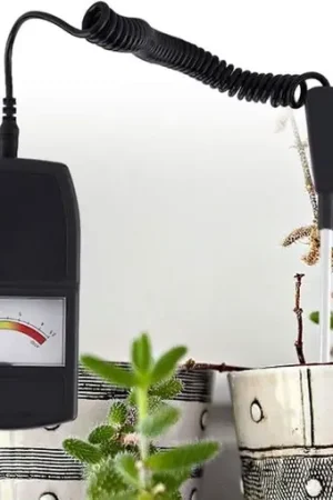Misuratore di pH per piante da giardino - 2-in-1 misuratore di pH e conduttività elettrica per alta precisione con test di pH Occasione Imperdibile